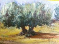 Olivo Oil Canvas Landscaping