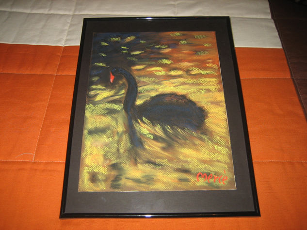 CISNE NEGRO Pastel Cartulina Animales