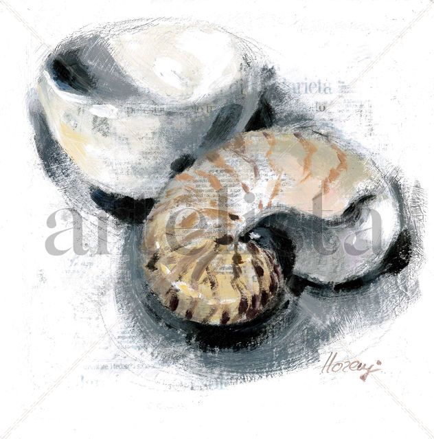 Caracola y Bol