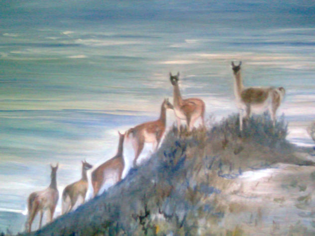 PATAGONIA SALVAJE Oil Canvas Animals