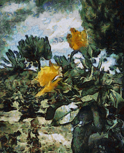 Rosas amarillas