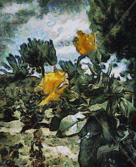 Rosas amarillas
