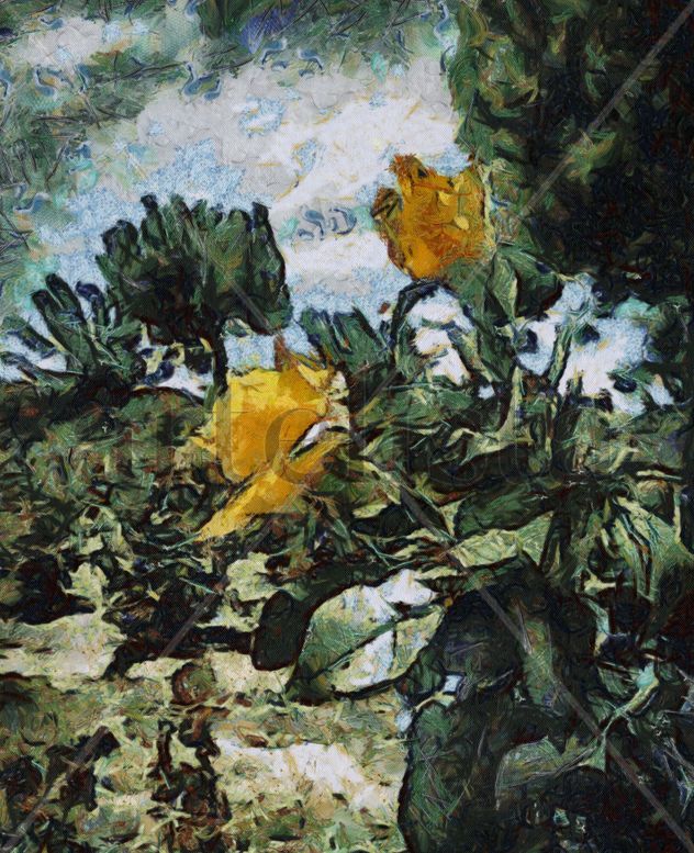 Rosas amarillas