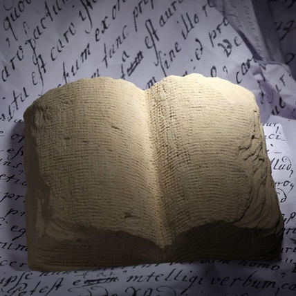 Libro Abierto