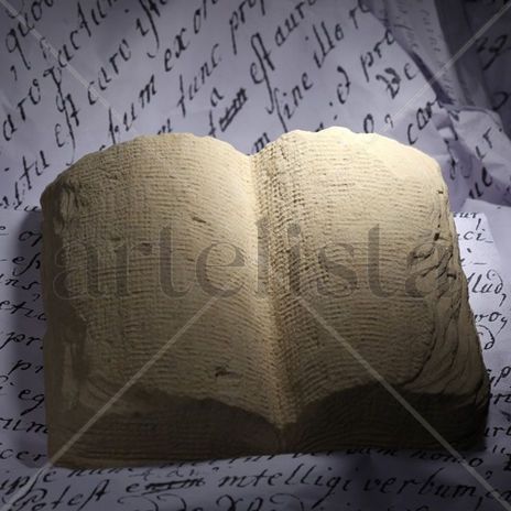 Libro Abierto