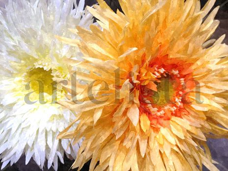Girasoles I