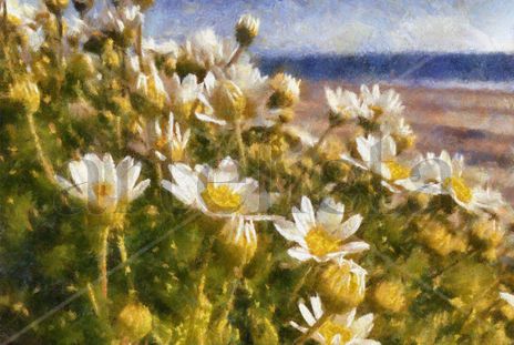 Margaritas junto al...