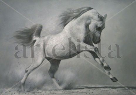 Caballo Blanco