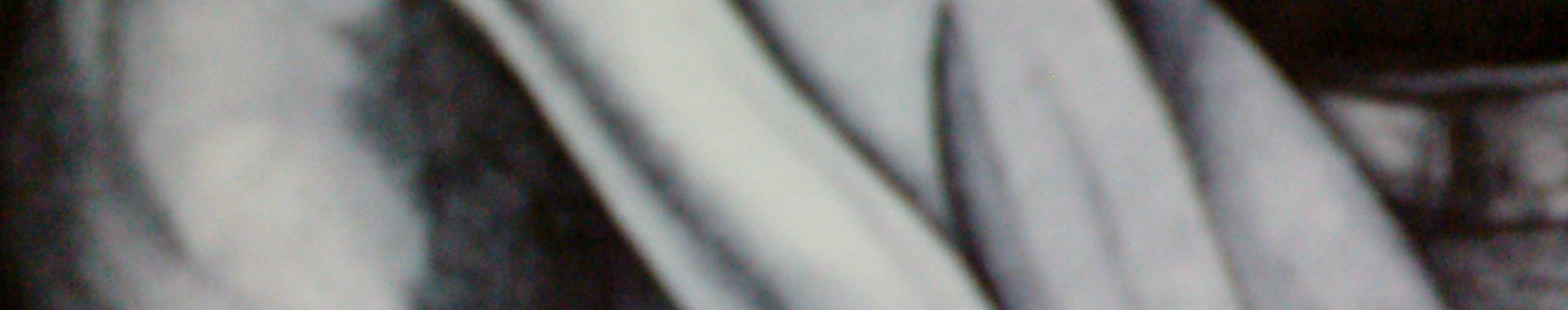 Imagen de portada