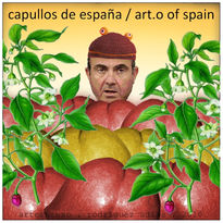 CAPULLOS DE ESPAÑA...