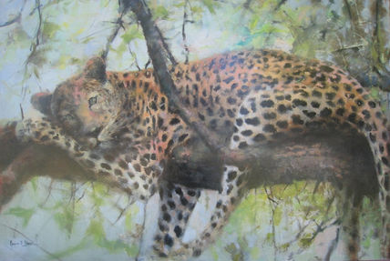 Leopardo