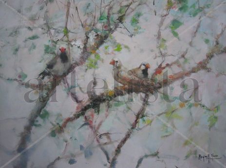 Pájaros