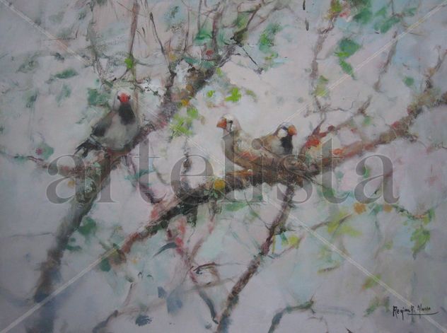 pájaros