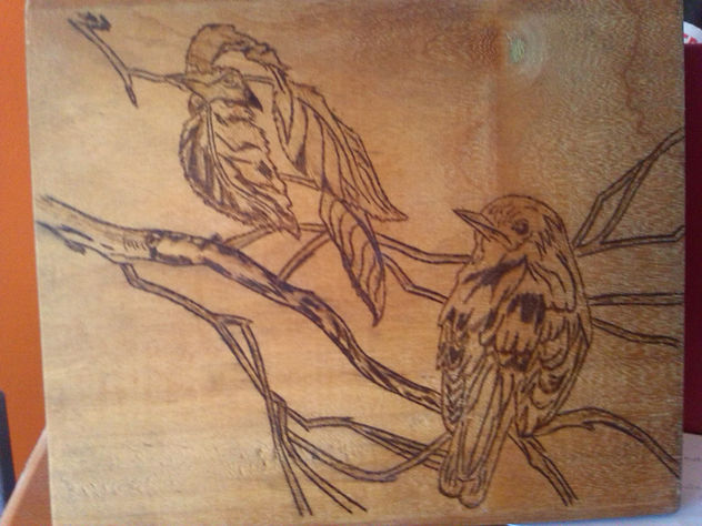 efecto optico ¿pajaros?