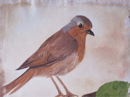 Pajaro Copeton