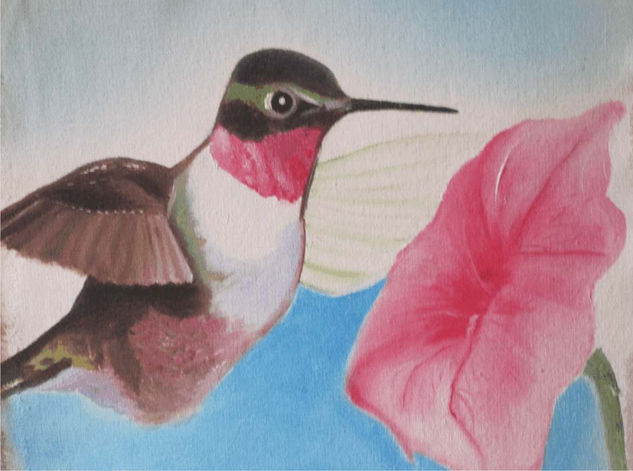 Pajaro Colibri Oil Canvas Animals