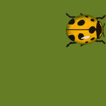 PRINCIPIA thumbnail 2