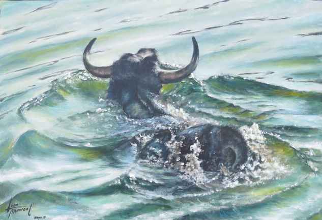 Toro bañandose Acrylic Canvas Animals