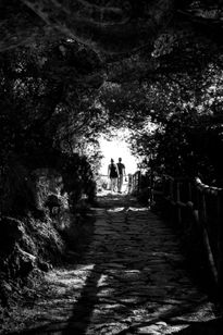 La pareja en el bosque