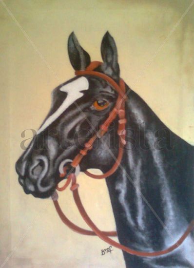 Caballo. Acrylic Canvas Animals