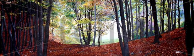 EL BOSQUE SOÑADO