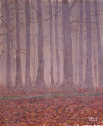Bosque brumoso