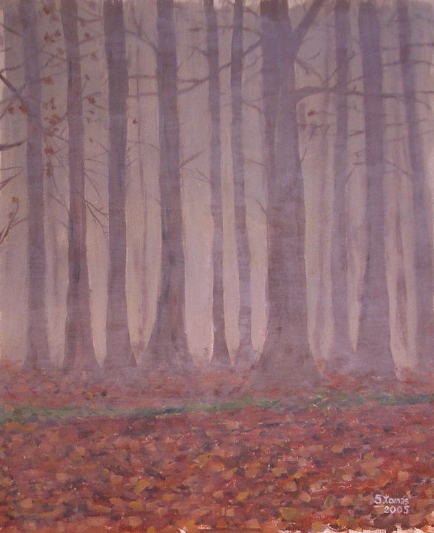 Bosque brumoso