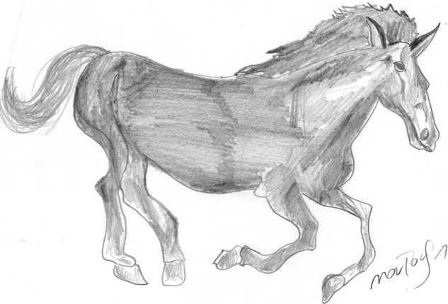 Caballo Gris. Pencil