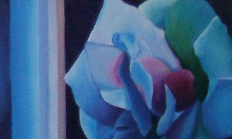Rosas Pop