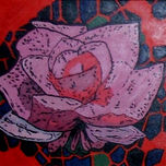 Rosas Pop thumbnail 2