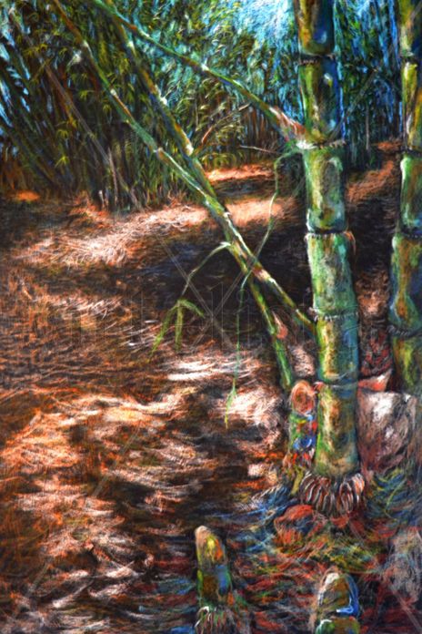 Inicio de bambu