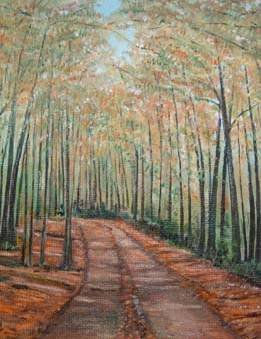 Fageda