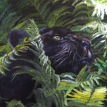 animales thumbnail 1