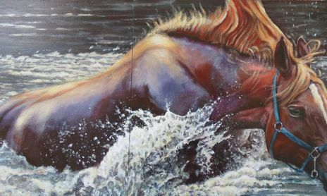caballos