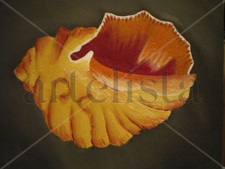 Caracola
