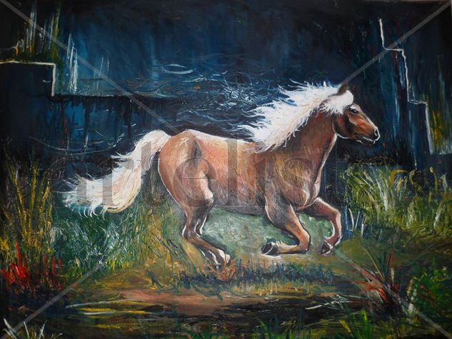 caballo Oil Canvas Animals