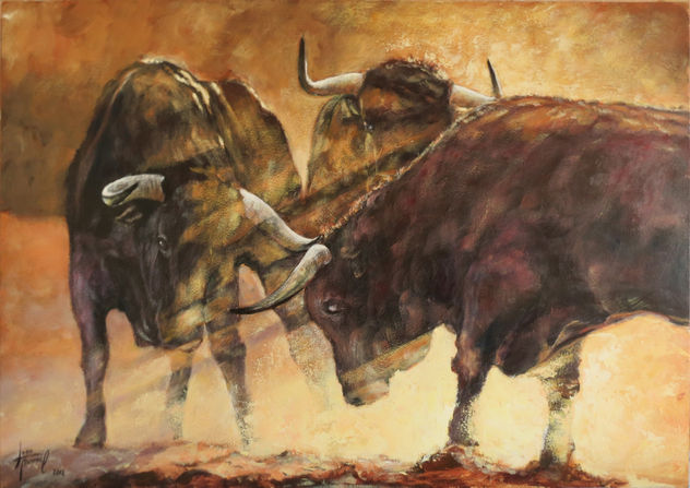 Lucha de toros al amanecer