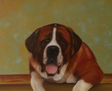 PERRO SAN BERNARDO