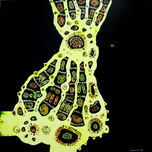 Anamnesis thumbnail 1