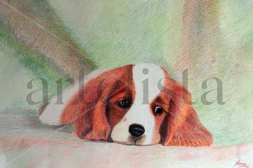 Retrato de animales