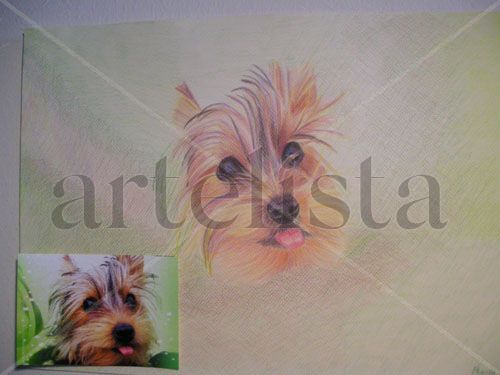Retrato de mascotas