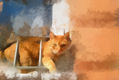 El gato en la ventana