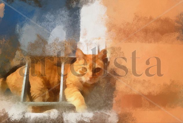 El gato en la ventana