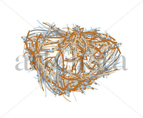 Cesta