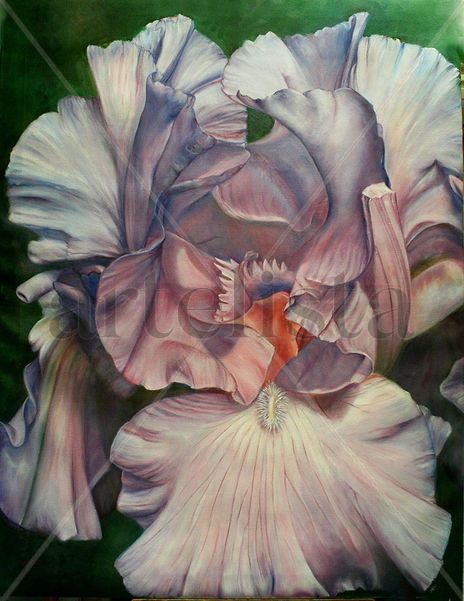 Iris Mary France