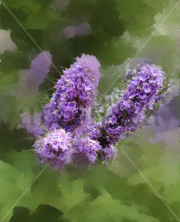 Jardín X