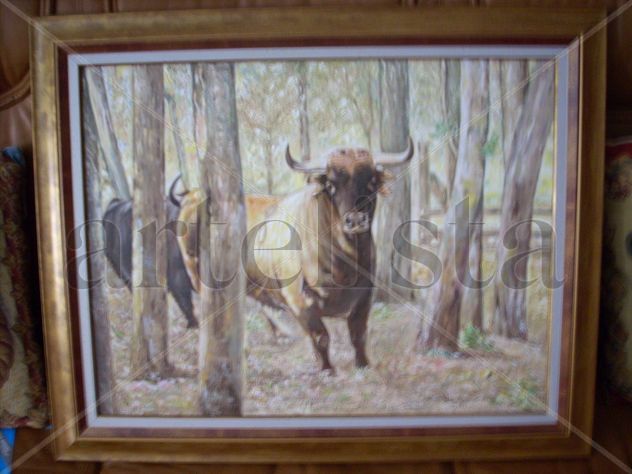 Toro en el campo