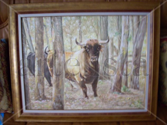 Toro en el campo Oil Canvas Animals