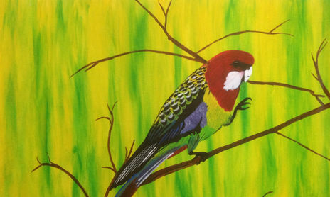 Pájaros .