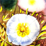 color thumbnail 1